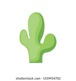 cute cactus in white background vector illustration design