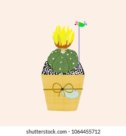 cute cactus with yellow flower in gift pot for special someone.