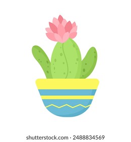 Cute cactus in a yellow pot