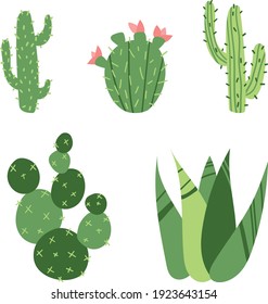 Cute cactuses houseplant and desert flower opuntia collection set isolated on white. Decorative ornament, needle. 