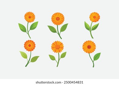 The "Cute Calendula Flower vector artwork" is a charming and vibrant digital illustration of a Calendula flower, perfect for use in various design projects.