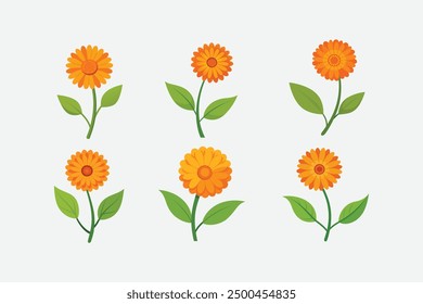 The "Cute Calendula Flower vector artwork" is a charming and vibrant digital illustration of a Calendula flower, perfect for use in various design projects.