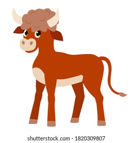  Cute calf isolated on white background. Year of the Bull. New Year card. Vector illustration.