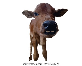 Cute Kalb einzeln auf Weiß. Vektorgrafik