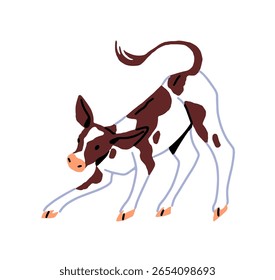 Bonito bezerro brinca no quintal. A vaca feliz do bebê se diverte no rancho. Pequeno boi, boi. Filhos avistados de gado, gado, animais de exploração. Ilustração de vetor desenhada à mão isolada plana sobre fundo branco