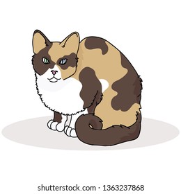 Cute calico cat cartoon vector illustration motif set. Hand drawn isolated pet elements clipart for animal blog, kitty graphic, web buttons.