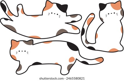 Lindo conjunto de marco de gato calico con bordes 1