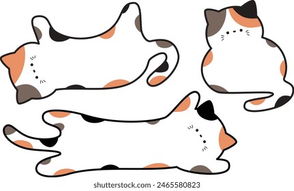 Cute calico cat frame set with edges 3