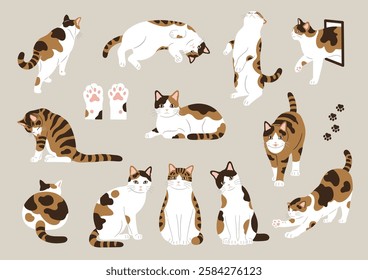 Cute calico cat illustration set.Vector illustration