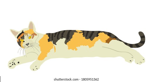 Cute calico cat lay on ground vector illustration isolated on white background. Lovely pet. Kitty lay down on floor.