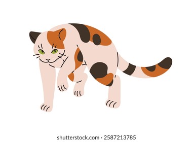 Cute calico cat sneaking, hunts. Happy kitten plays, goes to catch. Funny kitty observes, steps quiet to attack. Domestic animal, pets behavior. Flat isolated vector illustration on white background