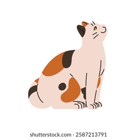 Cute calico cat is in watching, sits and observes side view. Happy kitten is seeking attention. Funny kitty asks love, petting, communication. Flat isolated vector illustration on white background