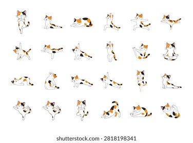 Cute calico cat yoga vector set featuring funny cartoon feline practicing yoga poses and stretching