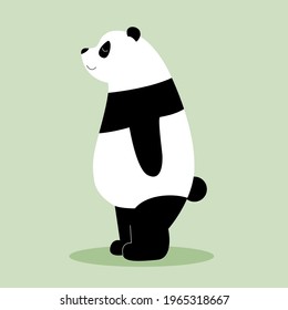 
cute and calm panda stands with green background