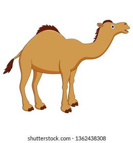 Cute camel cartoon 