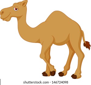 Cute Camel Cartoon