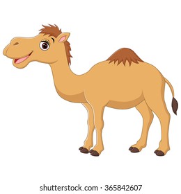 Cute camel cartoon