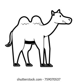 Cute camel cartoon