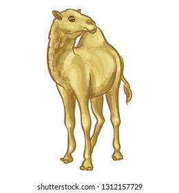 Cute Camel Cartoon Animal Vector Illustration