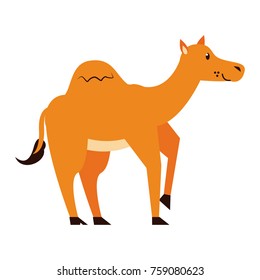 Cute camel cartoon icon vector illustration graphic design