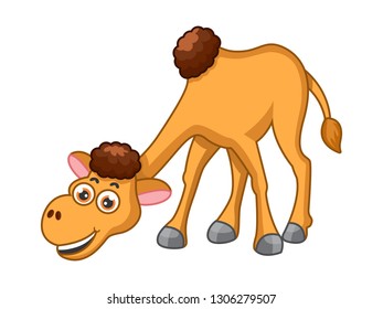 cute camel cartoon isolated on a white background