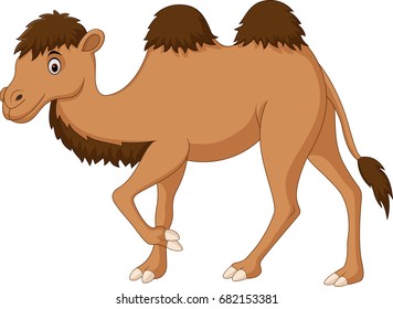 Cute camel cartoon isolated on white background