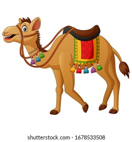 Cute camel cartoon with saddlery. Vector illustration