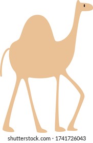 Cute camel Cartoon, Vector illustration camel on a white background. Drawing for children
