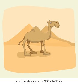 Cute camel cartoon. Vector illustration