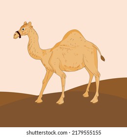 Dibujo de camello de corte ilustración de vectores