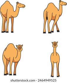 cute camel cartoon vector illustration