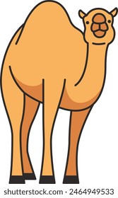 Ilustración vectorial de dibujos animados de camello lindo