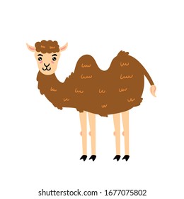 Cute camel. A cheerful camel is smiling. Children's animal character. Vector editable illustration