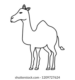 cute camel desert animal