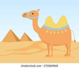 Cute camel in the desert. Pyramids on horizon. Vector.