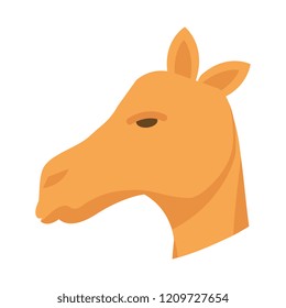 cute camel head desert animal cute camel head desert animal