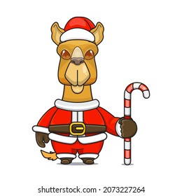 cute camel mascot, holding candy cane, wearing santa claus costume, cartoon animal character with sparkling eyes, front view. kawaii styles, flats, for kids and adults, for stickers. 