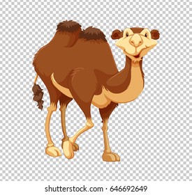 Cute-Kamel auf transparentem Hintergrund, Vektorgrafik