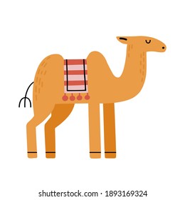 Cute camel with seat for a ride. Kids vector illustration for birthday design cards or alphabet. Dromedary camel isolated on white background.