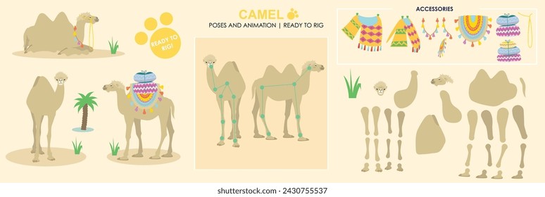 Cute Camel vector collection ready to animate and rig. Multiple poses and angles, farm animals, walking, grazing. Desert animals, two humps camel saddle, rug and palm trees.