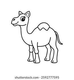 Cute camel vector illustration and line art 