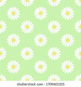 Cute camomile flower seamless pattern on green background.