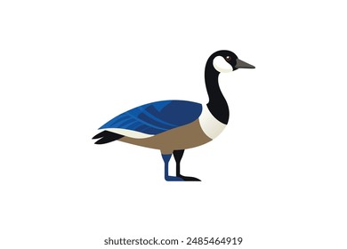 cute canadian goose vector art illustration