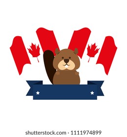 cute canadian marmot with flags