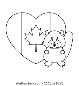 cute canadian marmot with heart