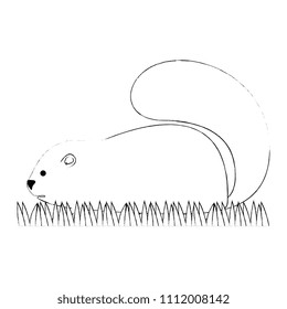 cute canadian marmot icon