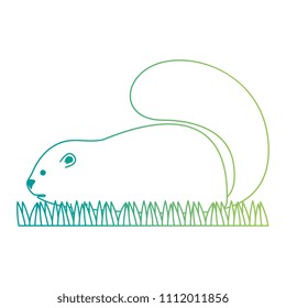 cute canadian marmot icon