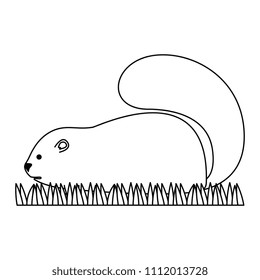cute canadian marmot icon