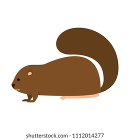 cute canadian marmot icon