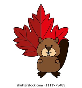 cute canadian marmot with maple leaf